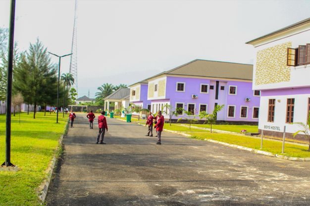 image7